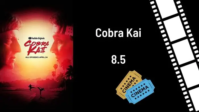 Cobra Kai Best Teen Comedy, Drama Netflix Show ever, watch on Moviesadda website